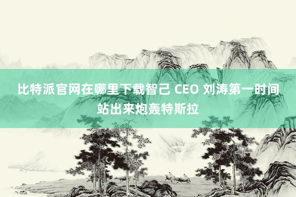 比特派官网在哪里下载智己 CEO 刘涛第一时间站出来炮轰特斯拉