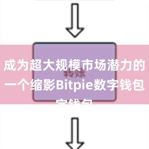 成为超大规模市场潜力的一个缩影Bitpie数字钱包